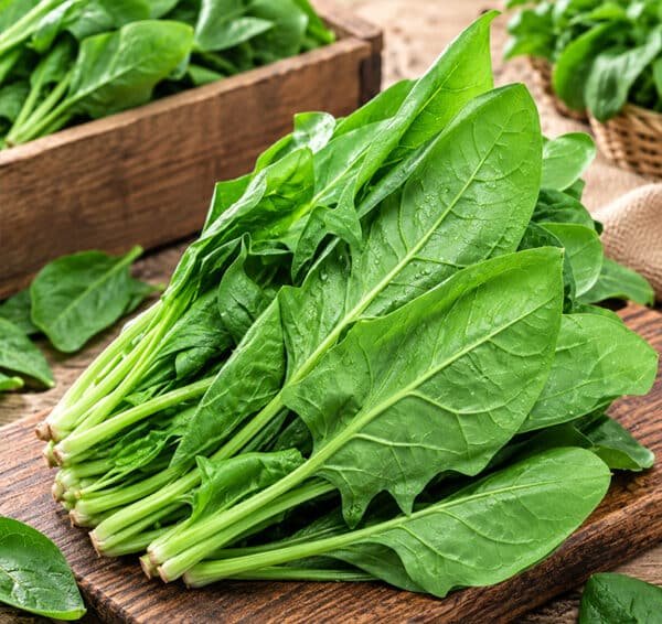 Fresh Spinach